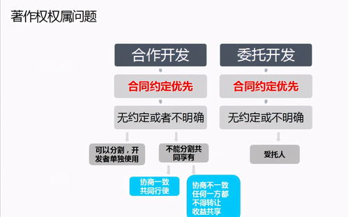 重要,自查 技术开发合同中知识产权条款有这样约定吗